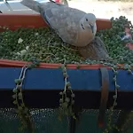 Quedar-se A L'alguer 아파트