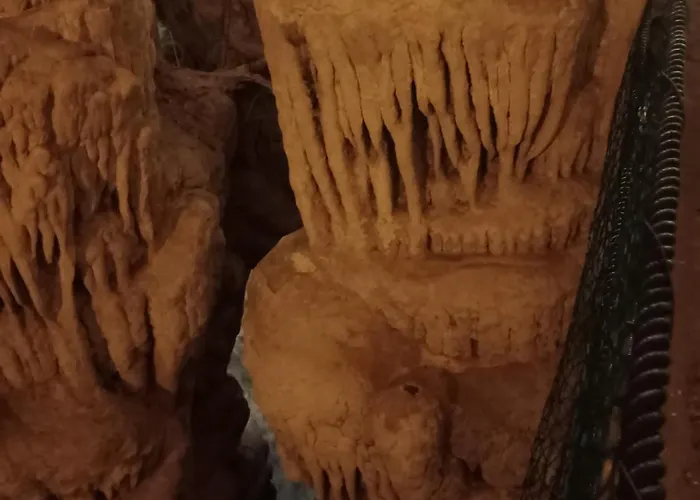 Quedar-se A L'alguer