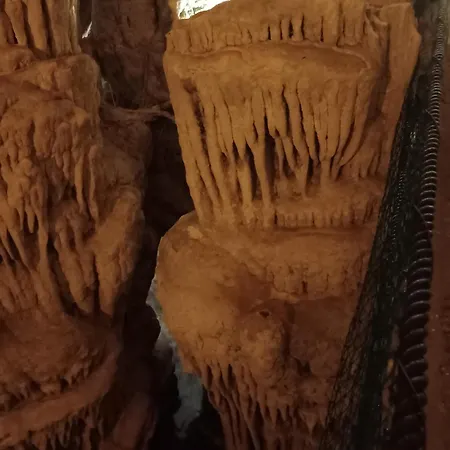 Quedar-se A L'alguer