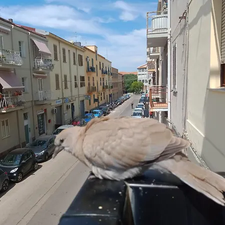 Quedar-se A L'alguer *