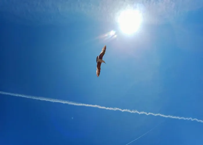 Quedar-se A L'alguer Appartement Alghero