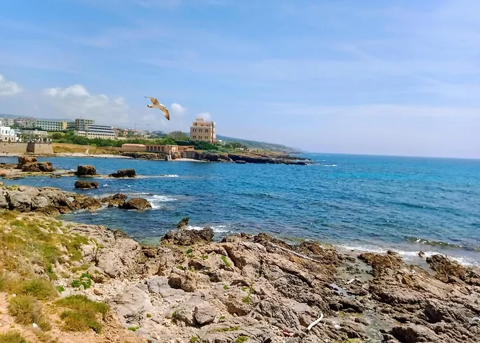 Quedar-se A L'alguer *