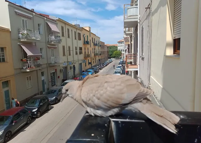 Quedar-se A L'alguer *