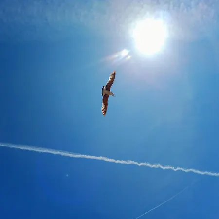 Quedar-se A L'alguer דירה אלגהרו